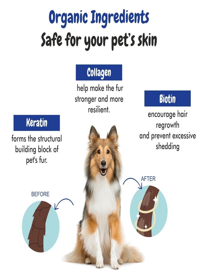 هارودز شامبو بي إس سي إل واي كيراتين بلس للحيوانات الأليفة | شامبو آمن للجراء - الوقاية من القراد والبراغيث، غني بالألوة وزيت جوز الهند، شامبو متوازن الحموضة للكلاب - شامبو للحيوانات الأليفة (300 مل) - Image 3